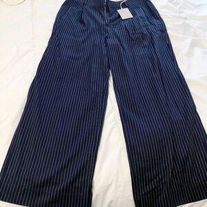 Everlane High Rise Tencel Wide Leg Pants